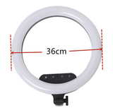 14 inch Selfie Ring Light with Tripod Stand & Cell Phone Holder for Live Stream/Makeup